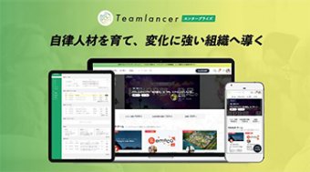 株式会社エンファクトリー Teamlancerエンタープライズ