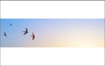 コアネットワーク (オンプレ/クラウド), Yahamaルーター