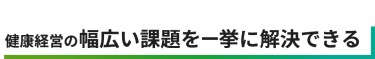 多数の製品・サービスが一堂に！健康経営の幅広い課題を一挙に解決できる。