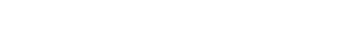 本展のポイント