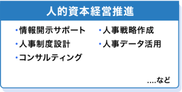 人的資本経営推進　・情報開示サポート・人事戦略作成・人事制度設計・人事データ活用・コンサルティング　…など