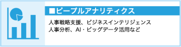 ピープルアナリティクス　人事戦略支援、ビジネスインテリジェンス、人事分析、AI・ビッグデータ活用 など